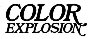 COLOR EXPLOSION logo
