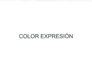 COLOR EXPRESIÓN logo
