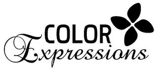COLOR EXPRESSIONS logo