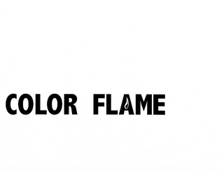 COLOR FLAME logo