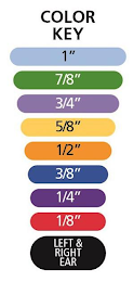 COLOR KEY 1" 7/8" 3/4" 5/8" 1/2" 3/8" 1/4" 1/8" LEFT & RIGHT EAR logo