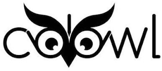 COLOR OWL logo