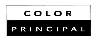 COLOR PRINCIPAL logo