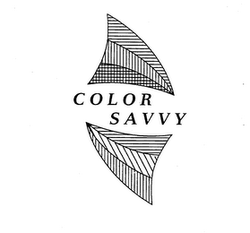 COLOR SAVVY logo