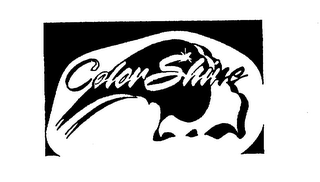 COLOR SHINE FOAMING ARCH logo