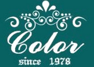 COLOR SINCE 1978 logo