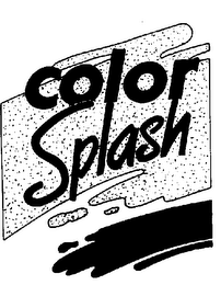 COLOR SPLASH logo