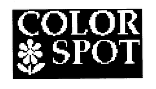 COLOR SPOT logo