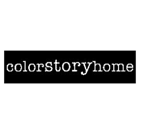 COLOR STORY HOME logo