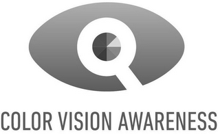 COLOR VISION AWARENESS logo