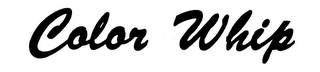 COLOR WHIP logo