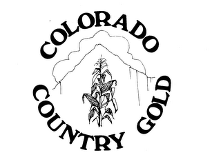 COLORADO COUNTY GOLD logo
