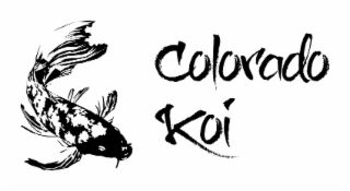 COLORADO KOI logo