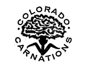 .COLORADO.CARNATIONS logo
