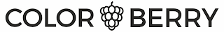 COLORBERRY logo