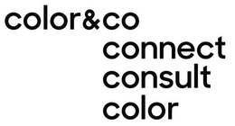 COLOR&CO CONNECT CONSULT COLOR logo