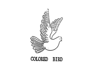 COLORED BIRD logo