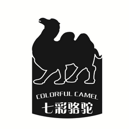 COLORFUL CAMEL logo
