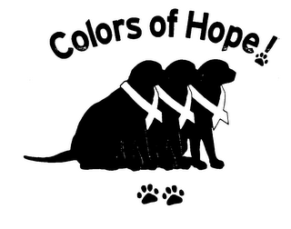 COLORS OF HOPE! logo