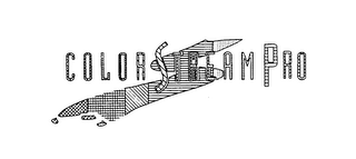 COLORSTREAM PRO logo