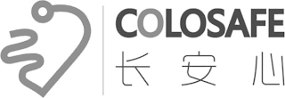 COLOSAFE logo