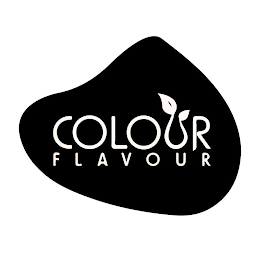 COLOUR FLAVOUR logo