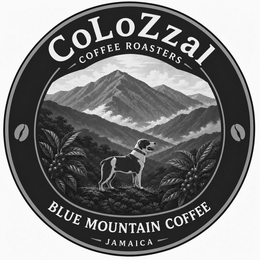 COLOZZAL COFFEE ROASTERS BLUE MOUNTAIN COFFEE JAMAICA logo