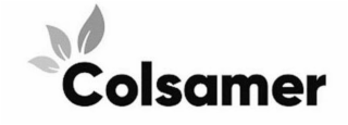 COLSAMER logo