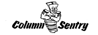 COLUMN SENTRY logo