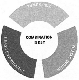 COMBINATION IS KEY logo