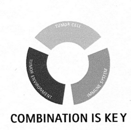 COMBINATION IS KEY logo