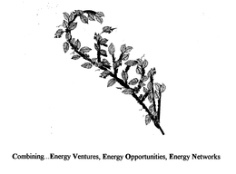 COMBINING...ENERGY VENTURES, ENERGY OPPORTUNITIES, ENERGY NETWORKS logo