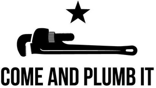 COME AND PLUMB IT logo