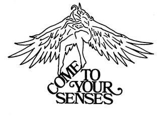 COME TO YOUR SENSES logo