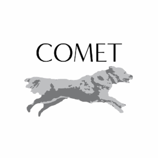 COMET logo