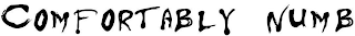 COMFORTABLY NUMB logo