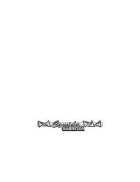 COMIDA SABROSA logo