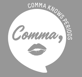 COMMA, COMMA KNOWS PERIODS logo