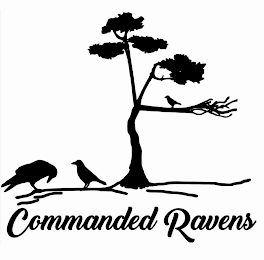COMMANDED RAVENS logo