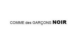 COMME DES GARCONS NOIR logo