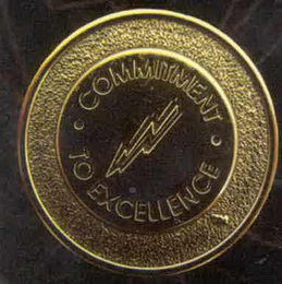 COMMITMENT TO EXCELLENCE logo