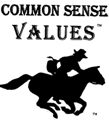 COMMON SENSE VALVES logo