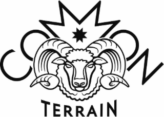 COMMON TERRAIN logo