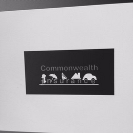 COMMONWEALTH INSURANCE logo