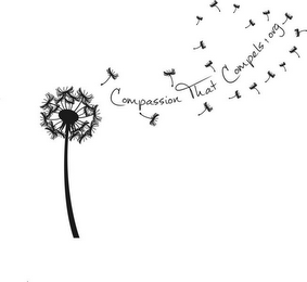 COMPASSION THAT COMPELS.ORG logo