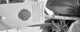 COMPONENTS FROM MOTHER NATURE MAY WWW.TCHLORALCOMPANY.COM REQUIRE EXTRA CARE. AVOID DIRECT WITH A DRY CLOTH. FLORAL ARRANGEMENTS CONTAINING NATURAL SUNLIGHT, HIGH HUMIDITY AREAS, WATERING, AND HIGH TEMPERATURES. GENTLY DUST COMPANY T logo