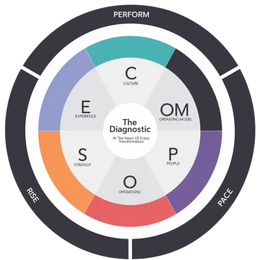 COMPOSE  CULTURE OPERATING MODEL PEOPLE OPERATIONS STRATEGY EXPERIENCE PERFORM PACE RISE THE DIAGNOSTIC AT THE HEART OF EVERY TRANSFORMATION logo