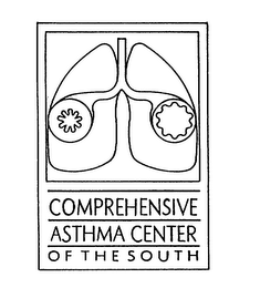 COMPREHENSIVE ASTHMA CENTER OF THE SOUTH