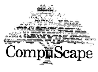 COMPUSCAPE logo