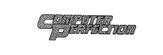 COMPUTER PERFECTION logo
